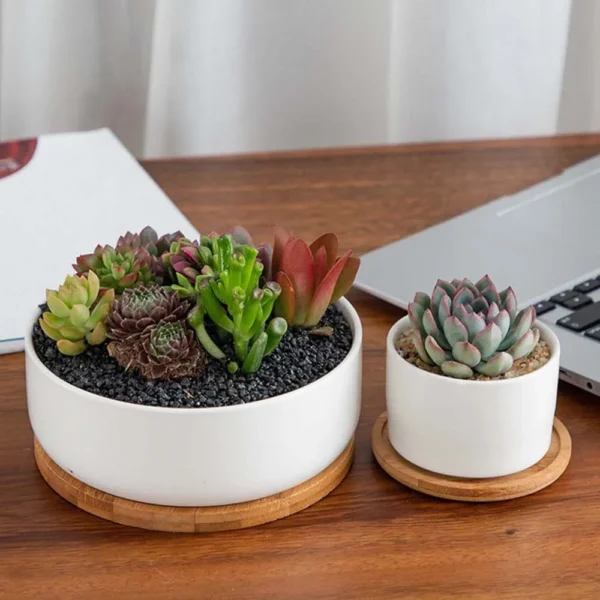 Multi Bamboo Tray Wood Saucer Flower Pot Tray Cup Pad Coaster Plate Kitchen Decorative Plate Creative Coaster Coffee Cup Mat - Image 3