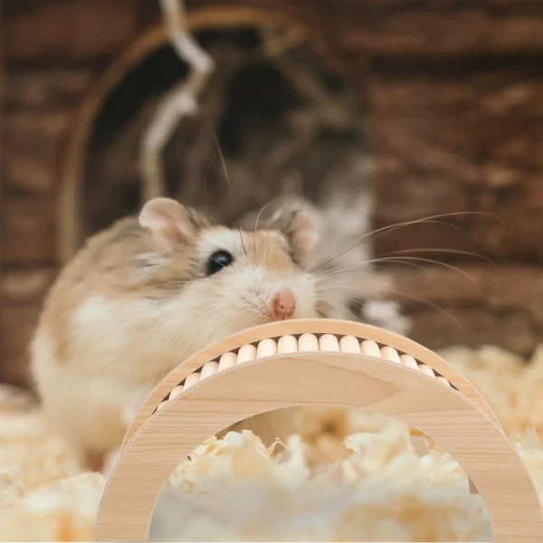 Hamster Toy Bridge Small Pet Climbing Gerbil Toys Arch Guinea Pig Ramp Wooden Hideout Stuff - Image 4