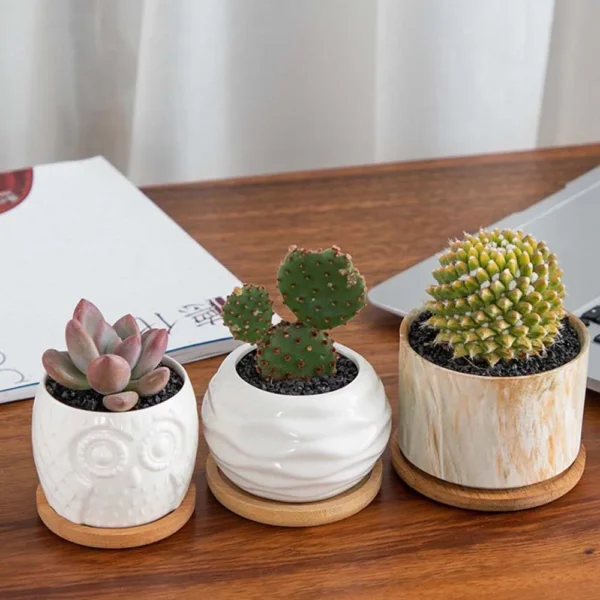 Multi Bamboo Tray Wood Saucer Flower Pot Tray Cup Pad Coaster Plate Kitchen Decorative Plate Creative Coaster Coffee Cup Mat - Image 4
