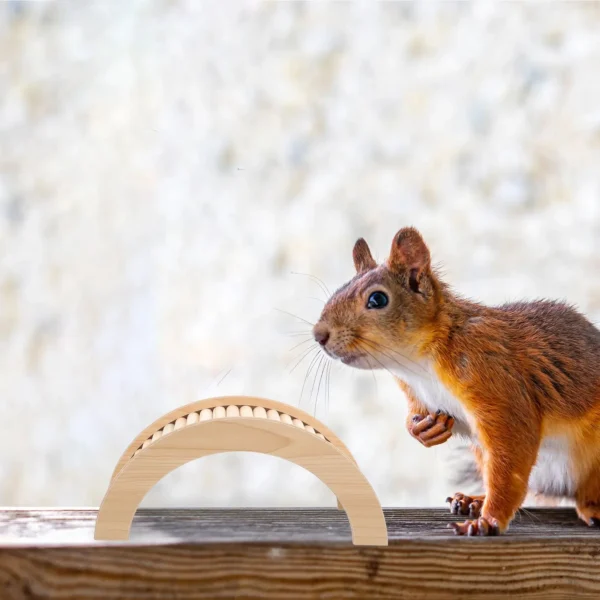 Hamster Toy Bridge Small Pet Climbing Gerbil Toys Arch Guinea Pig Ramp Wooden Hideout Stuff - Image 5
